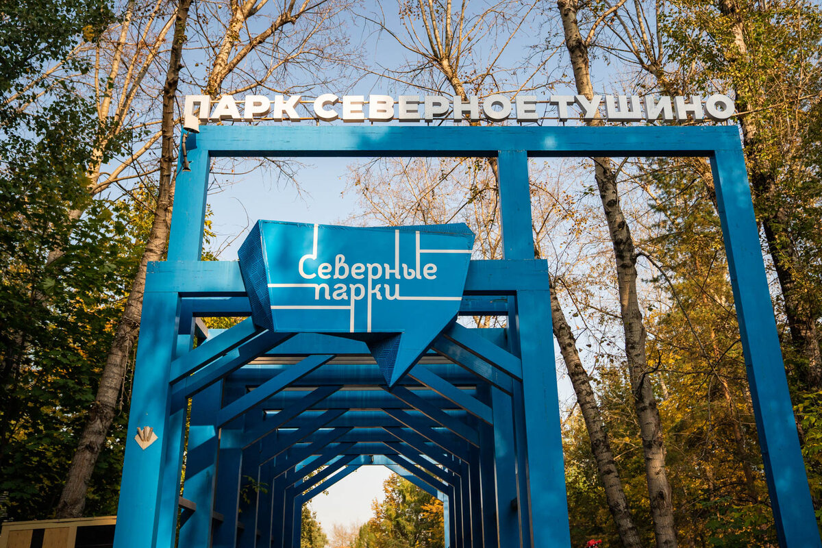 фото из открытых источников интернет