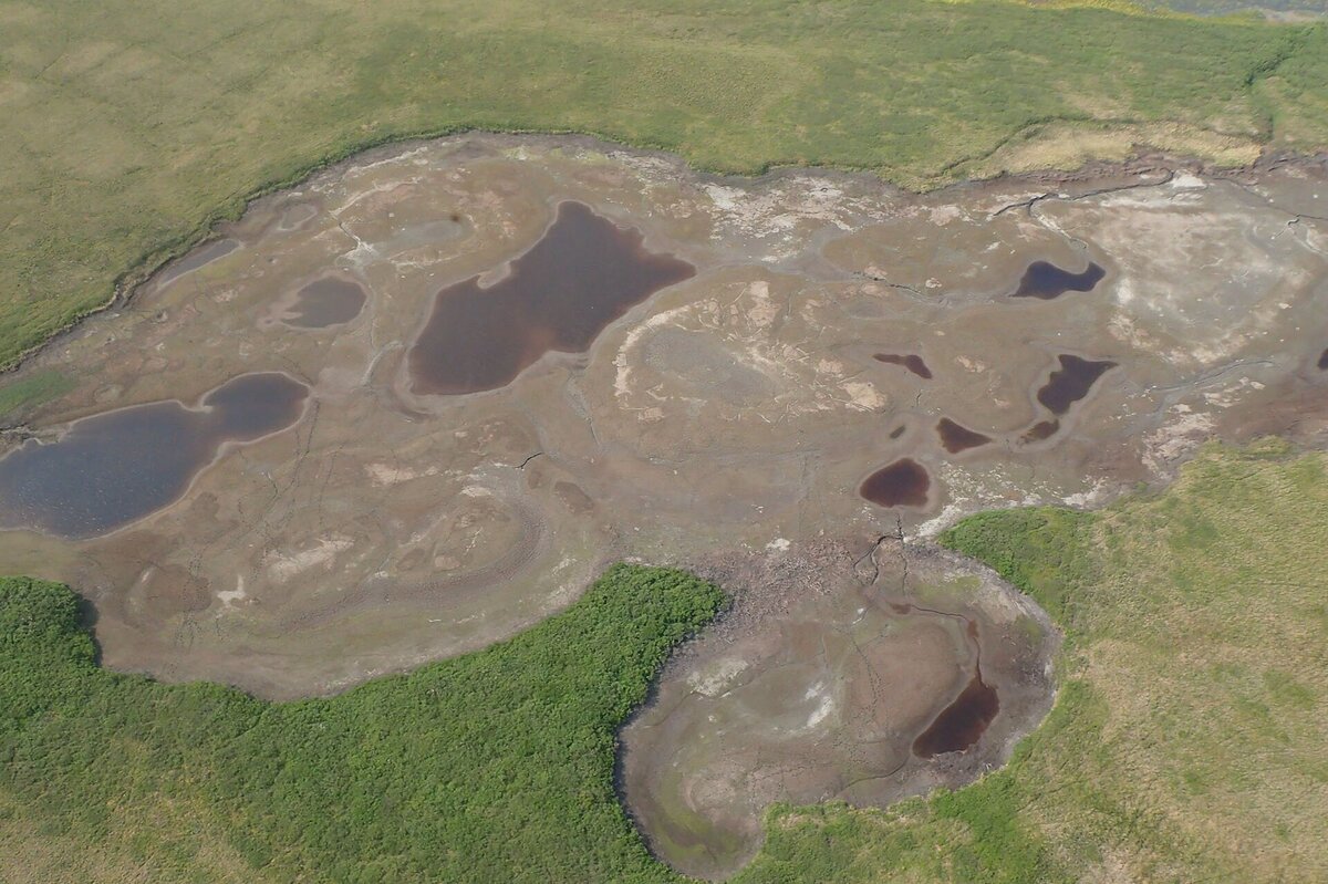     По всей Арктике пересыхают озера. Почему это происходит - непонятно