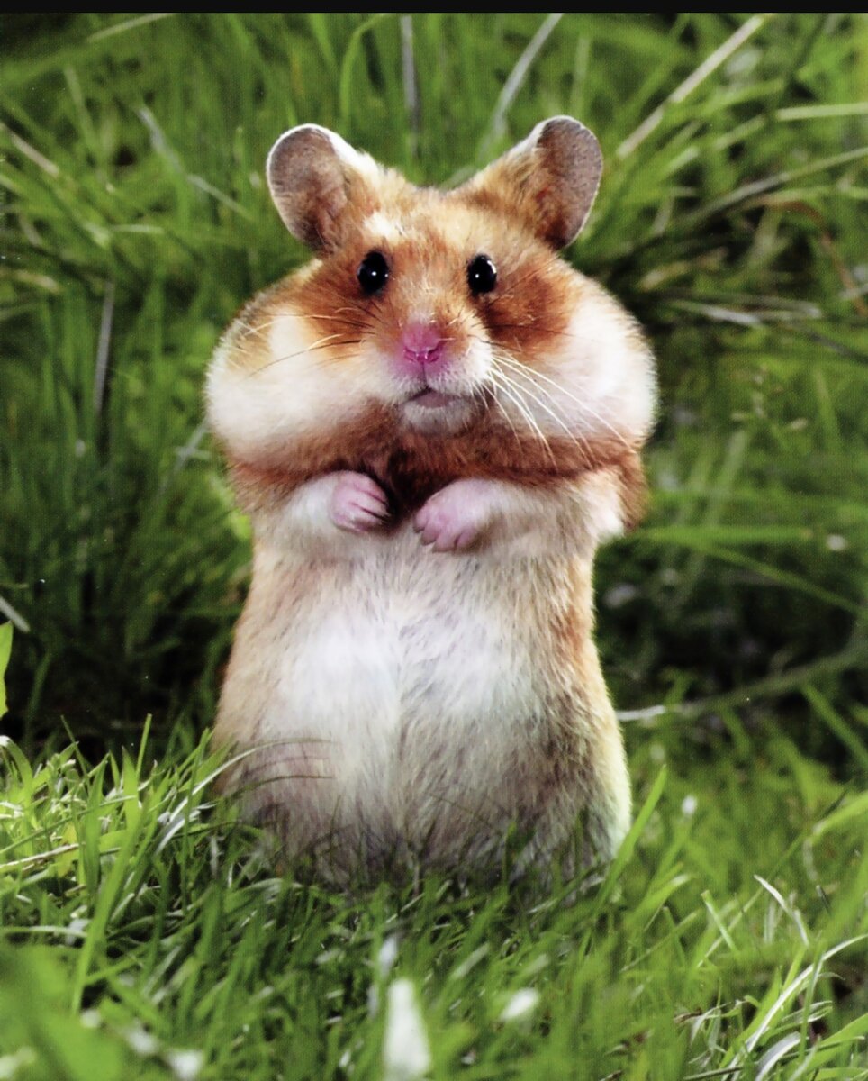 Всем советую 