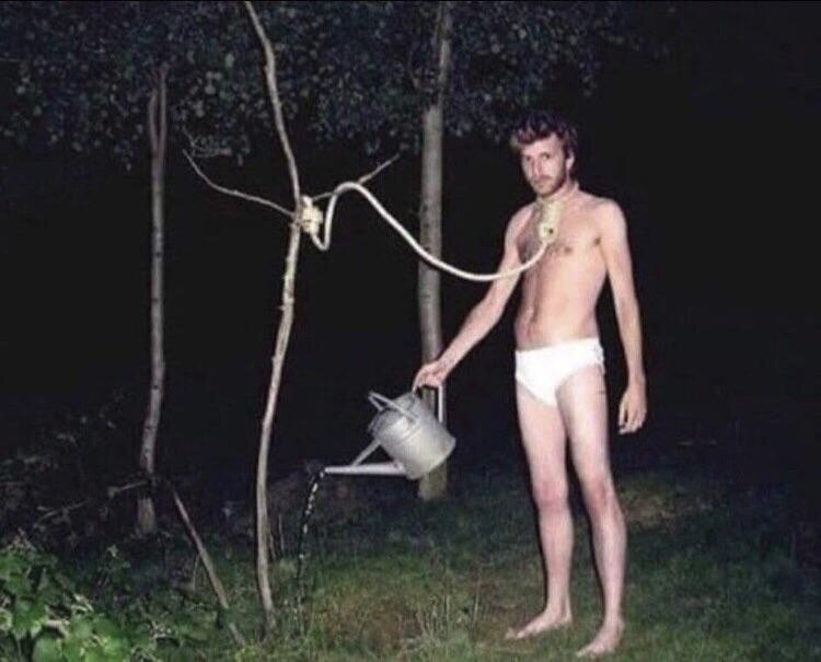 Референс из сети) Да, даже такой мем может послужить. Идея то сильная.