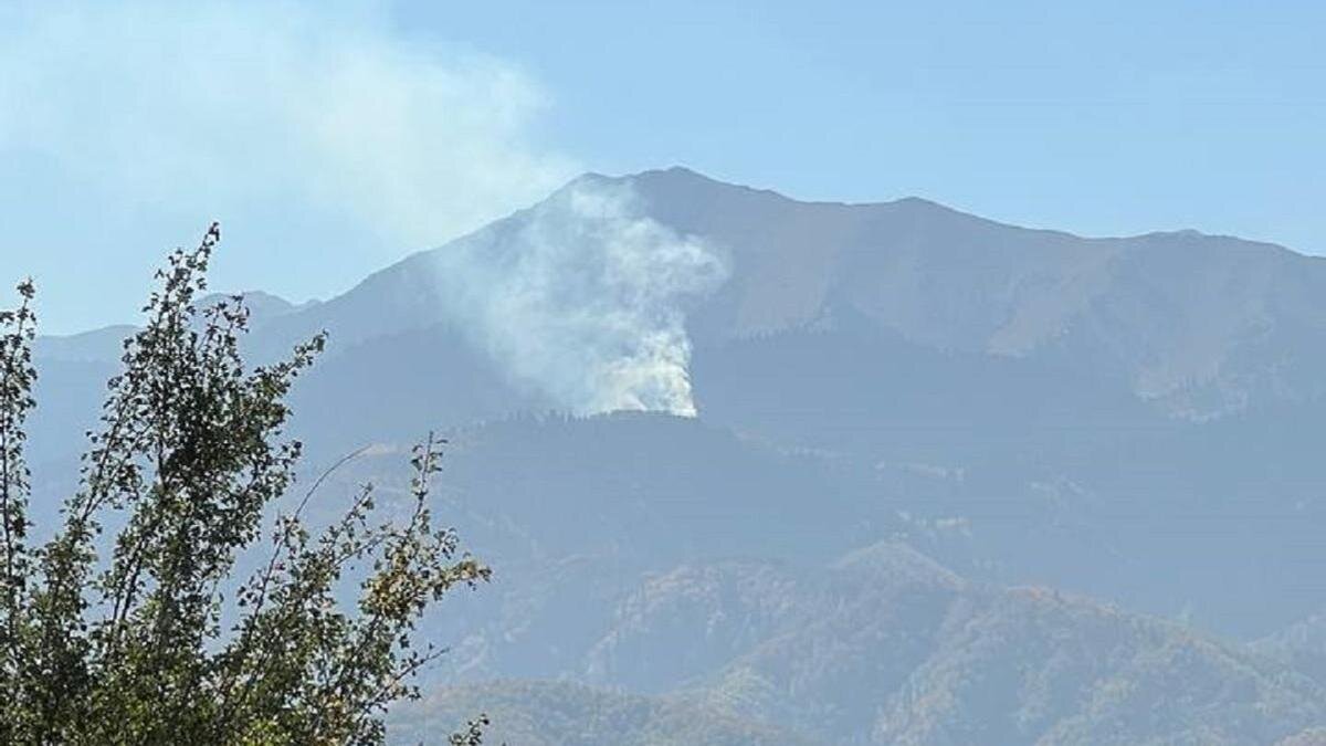    Пожар в предгорье Алматы:Telegram / ALMATY_KRIS_P