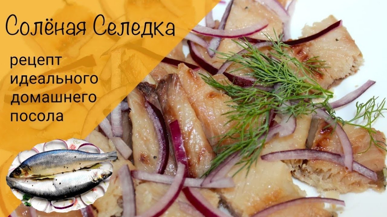 8 способов быстро и вкусно засолить селёдку