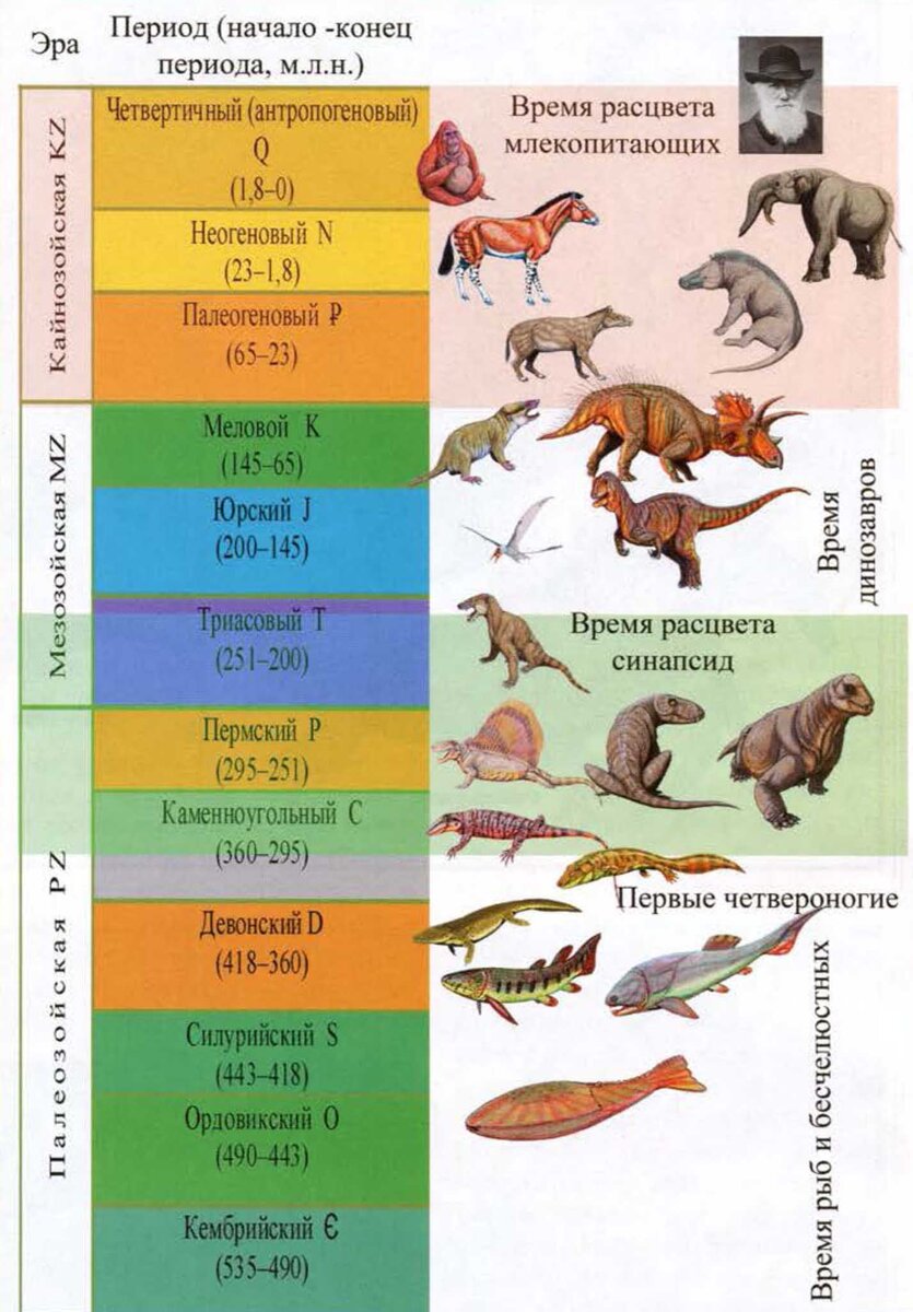 Карта какой период. Геохронологическая таблица. Эры и периоды. Таблица Эр и периодов. Эры и периоды таблица.