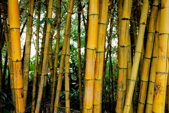 Фото с сайта biruli-rt.ru