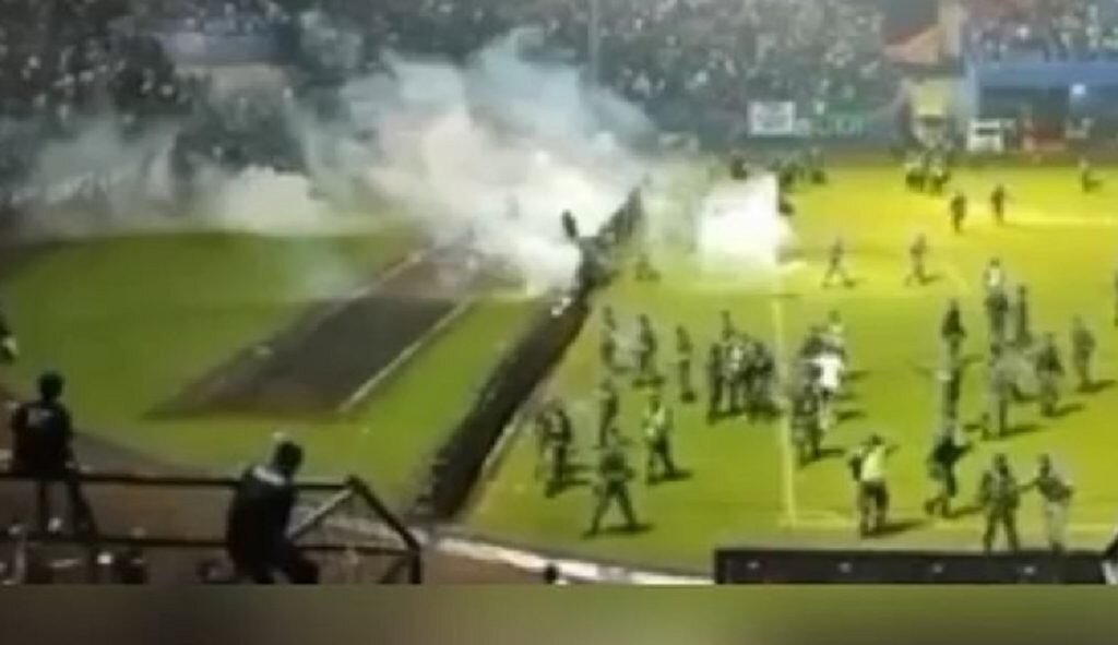    Фото: Скриншот видео Елена Стеценко