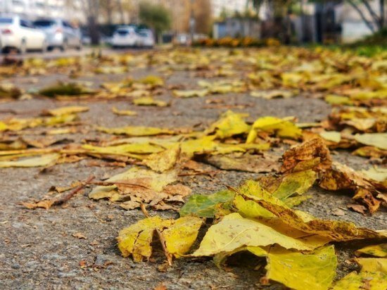     Озвучен прогноз погоды в Хабаровске на 4 октября Ольга Григорьева