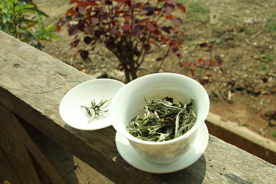 История белого чая