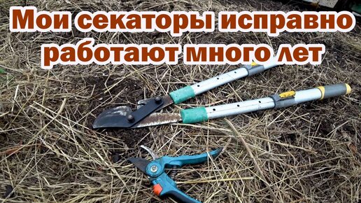 Про садовые секаторы