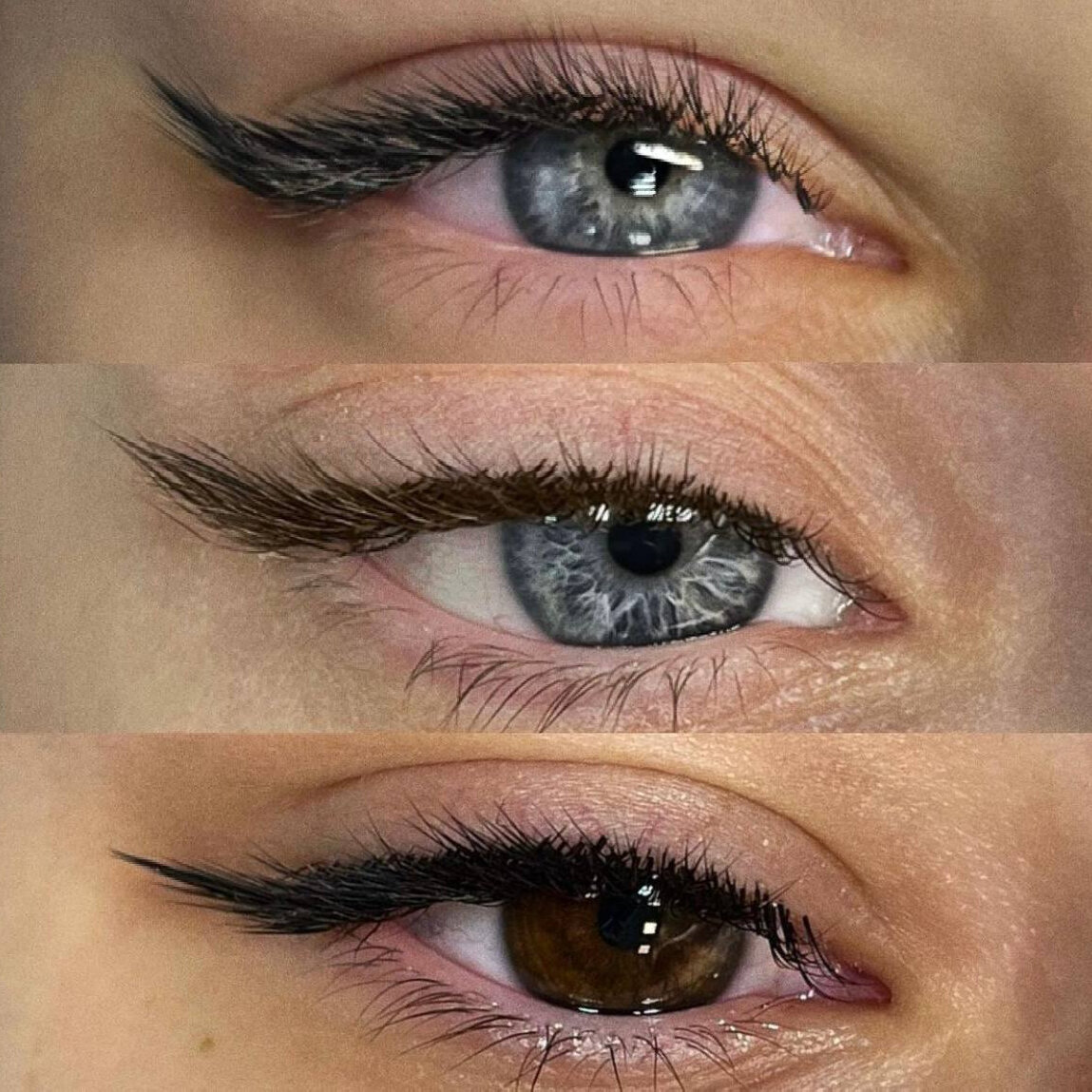 3. Лисий эффект