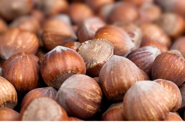 Источник: freepik.com.