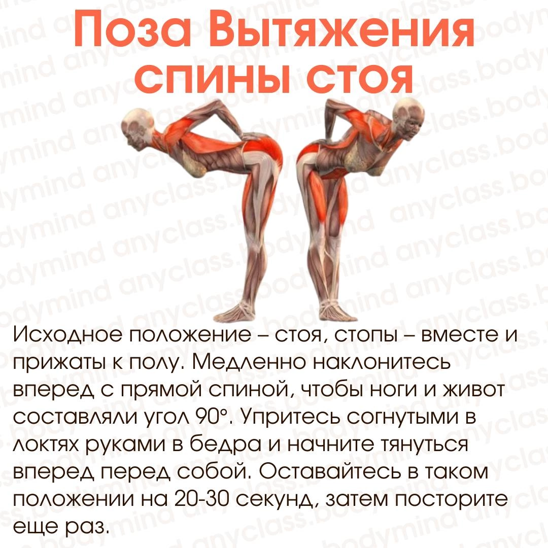 Тоже люблю эту позу для вытяжения поясницы