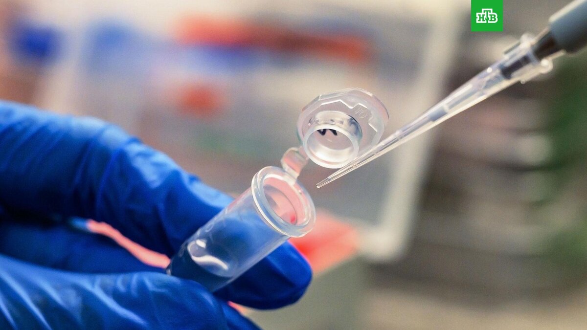    Фото: РИА Новости © 2022, Илья Питалев