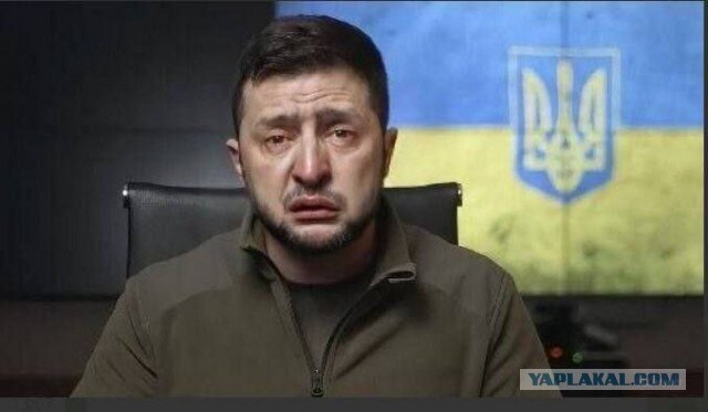 "Ну, вы же за меня отомстите, да?" Яндекс. Картинки.