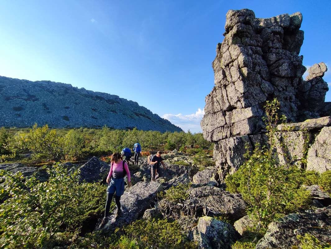 Курумники Поднебесные зубья