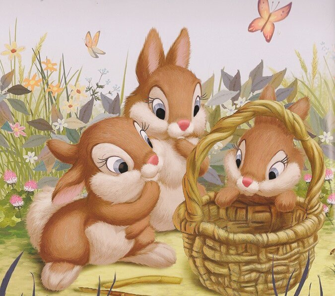 Зайчики играют. Фото из свободных источников Интернета.