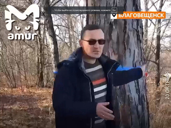     Мэр Благовещенска объявил войну 150-летним липам Фото: скрин Amur Mash