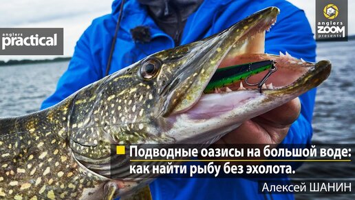 Подводные оазисы на большой воде: как найти рыбу без эхолота. Алексей Шанин.