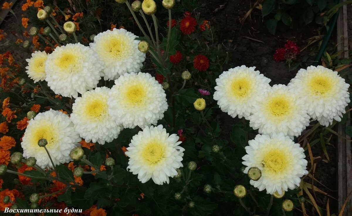 Из личного архива автора канала