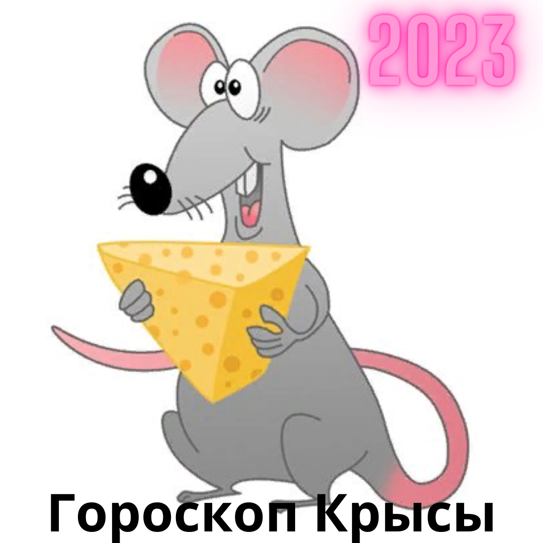 Гороскоп крысы на апрель 2024. Крыса знак зодиака. Огненная крыса. Все преимущества знака зодиака крыса. Читать гороскоп для крысы на март.