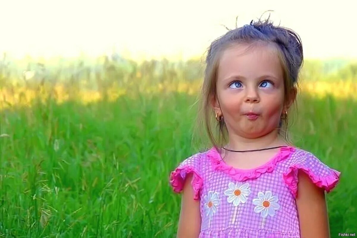 Картинка из свободных источников