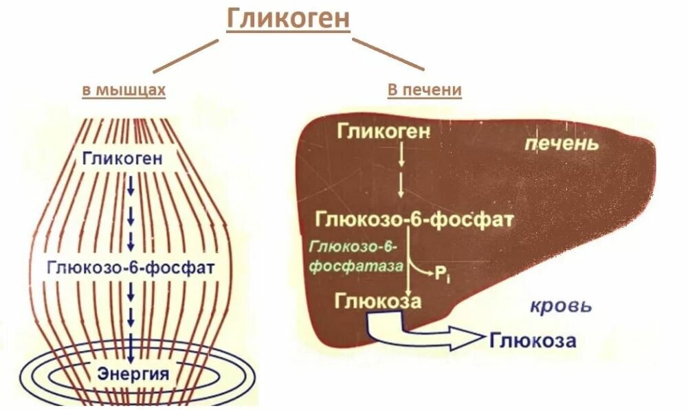 Скользящая шкала инсулина для некритически больных госпитализированных взрослых с сахарным диабетом