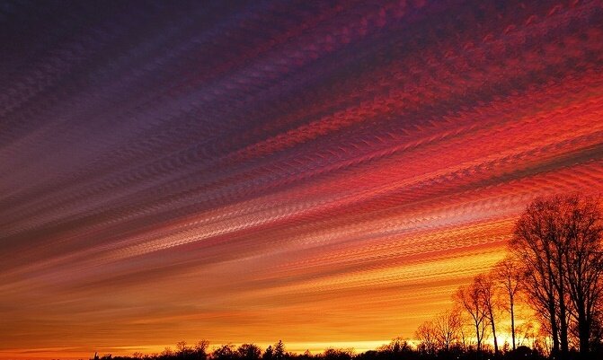 картинка из свободного доступа.