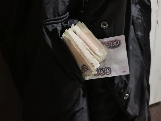     Заведующего филиалом лесничества осудят за коррупцию в Хабаровском крае / Анастасия Дудалова