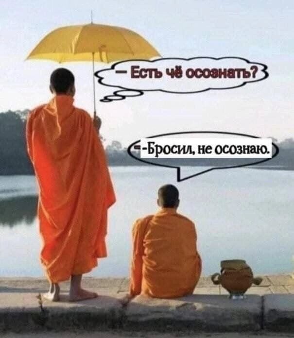 Ежедневник Ксении Синициной 