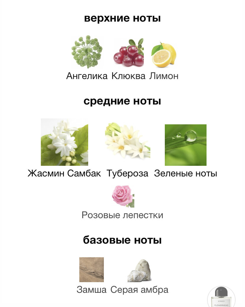 Цветочная группа ароматов