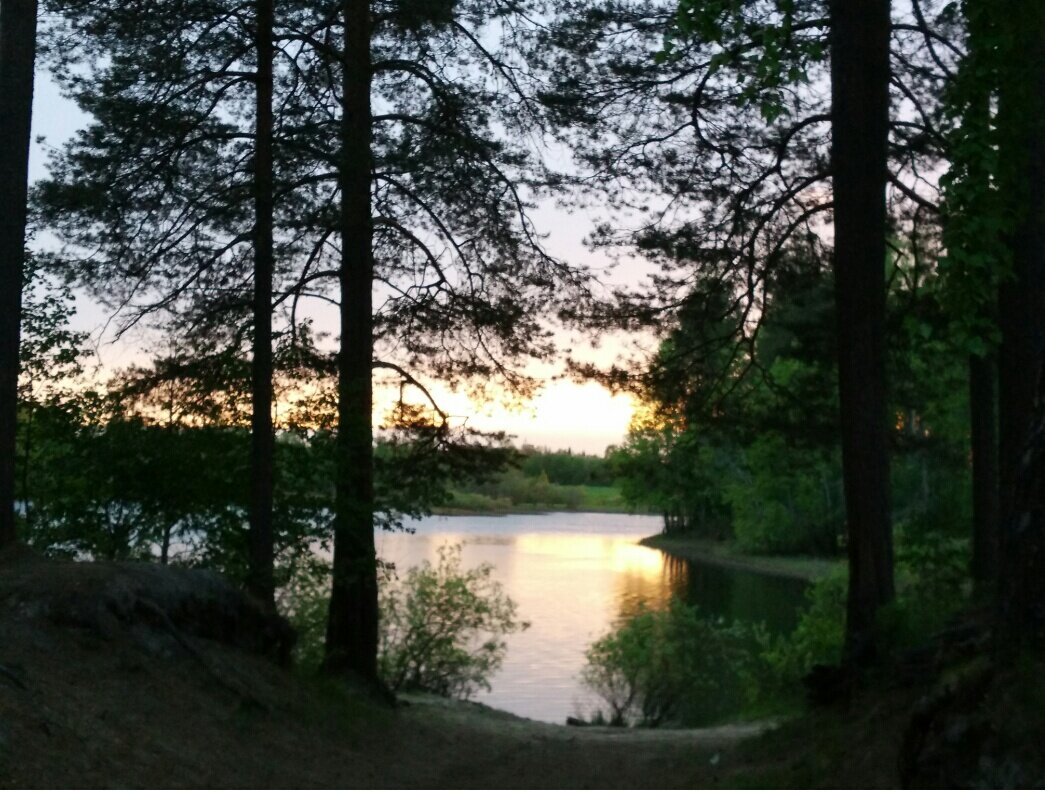 Кофе на природе делает жизнь ещё прекраснее. И ещё денюжки. Хлеб и зрелища, в общем.