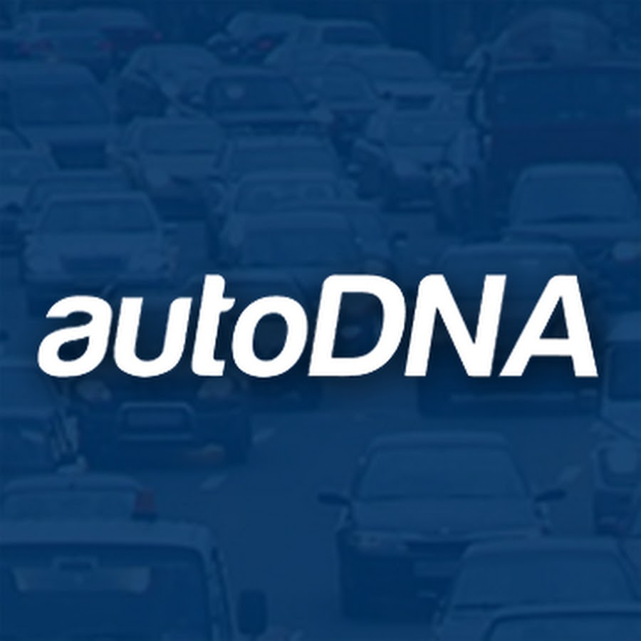 Сервис AutoDNA