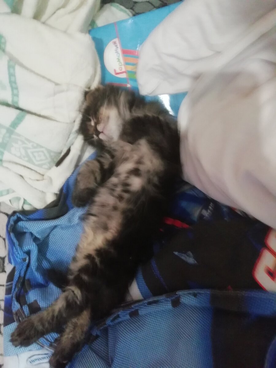 Отстаньте все!