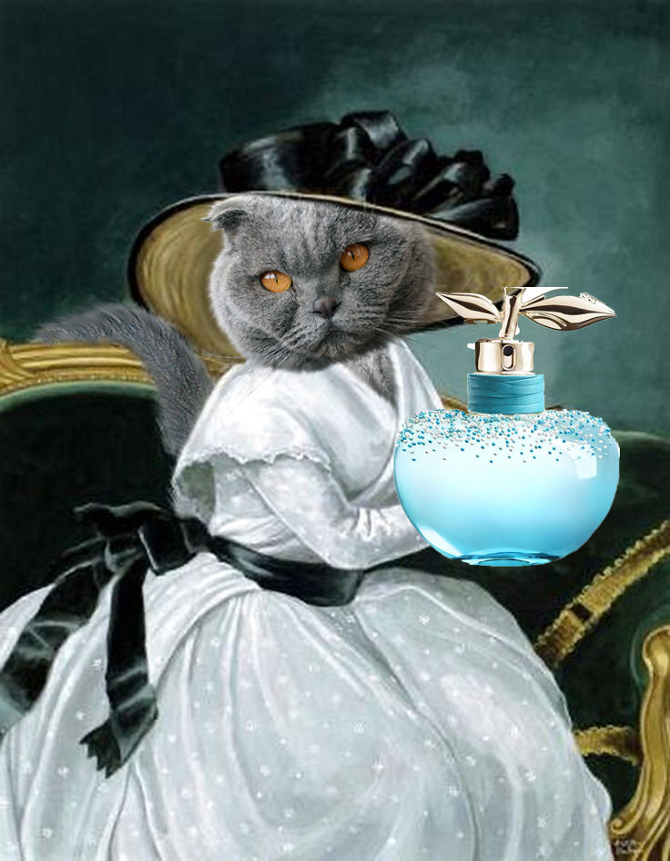 фото с сайта https://clck.ru/WA5Cv