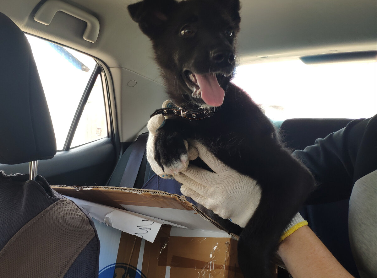 Ребята, это так классно- ехать в машине !