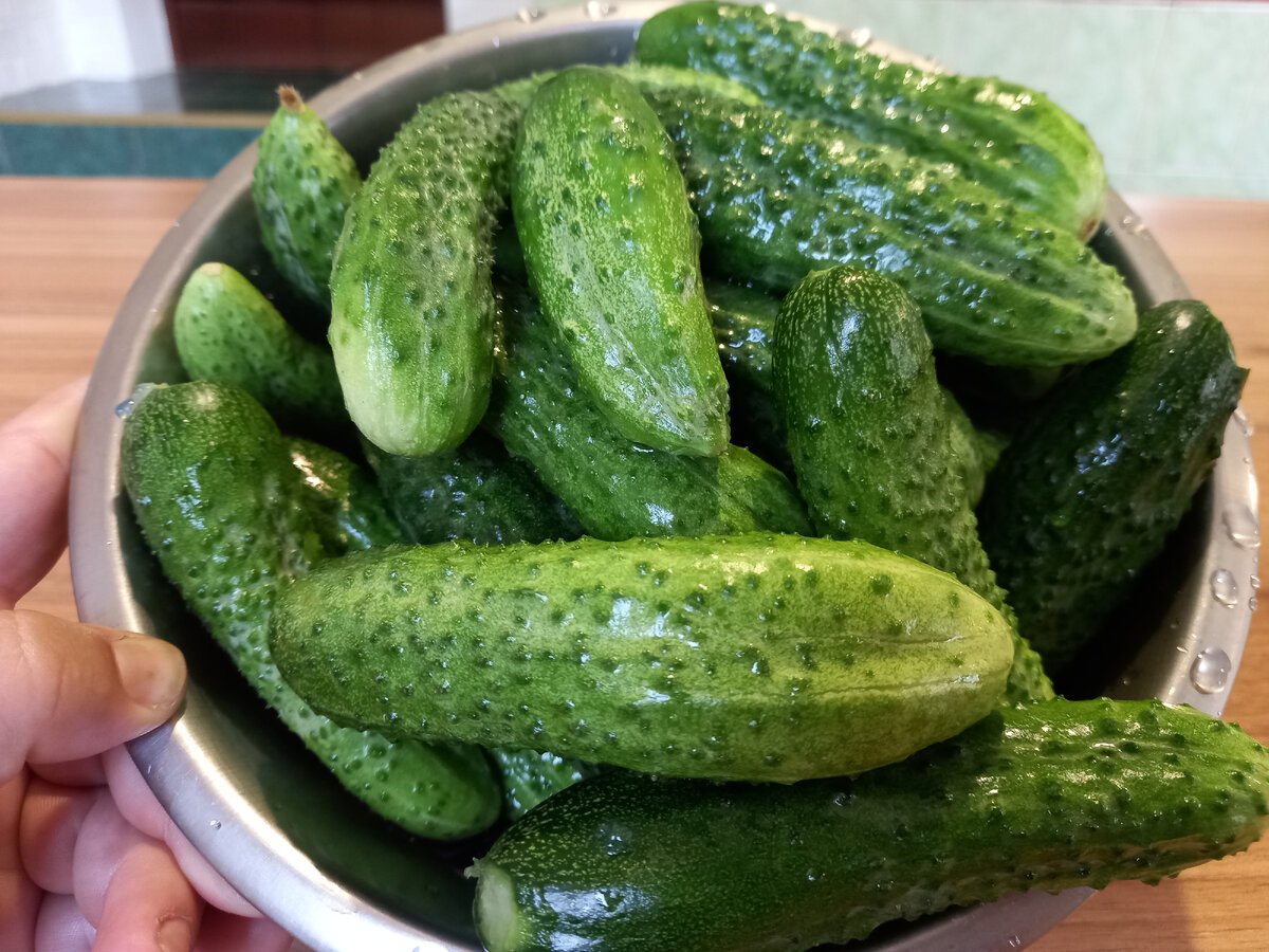 Наши огурчики