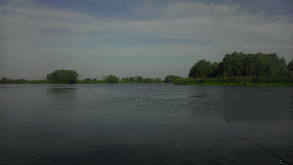 Место ловли хищника на джиг