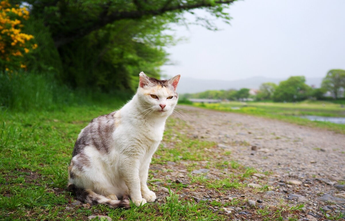 Фото из интернета