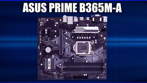 Материнская плата Asus Prime B365m-a