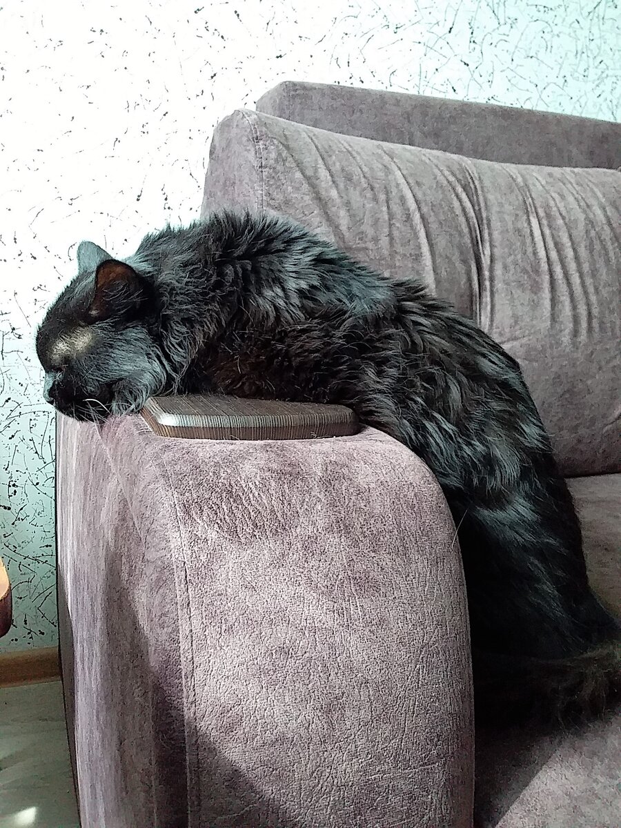 За фото Чернуха благодарю Лилию ЗАМОТАЕВУ)