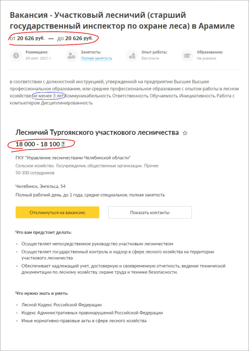 Правда ли, что лесники зарабатывают более 50 000 рублей? Поговорим , как  ситуация выглядит на самом деле. | МАГУСТО | Дзен