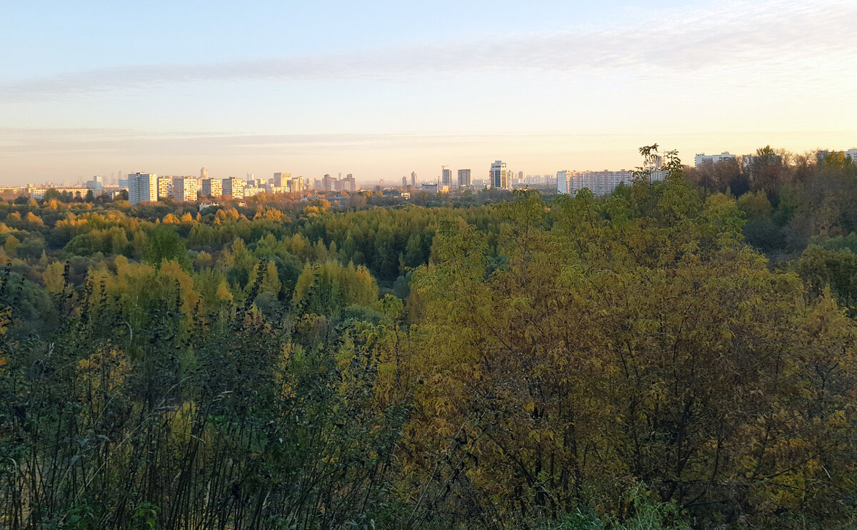 Фоторепортажа с места событий нет, поэтому ограничусь видом Сходненской чашей: если что, магазины в пешей доступности от неё