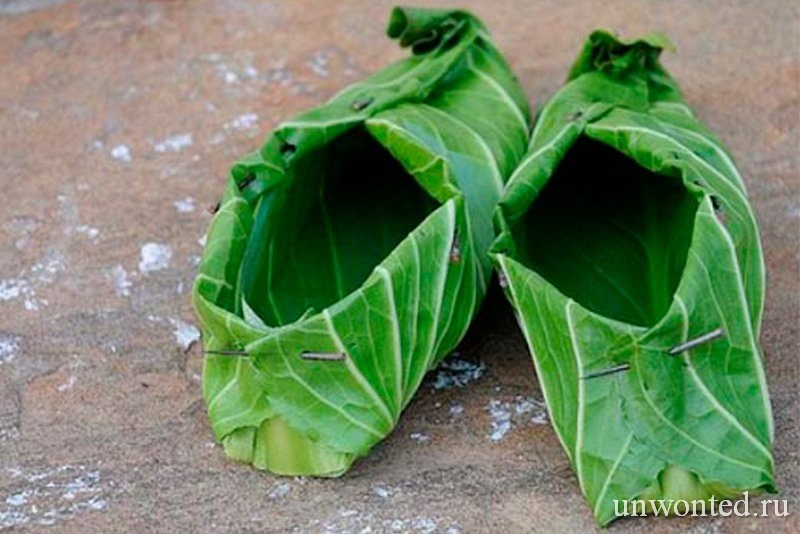 Источник фото unwonted