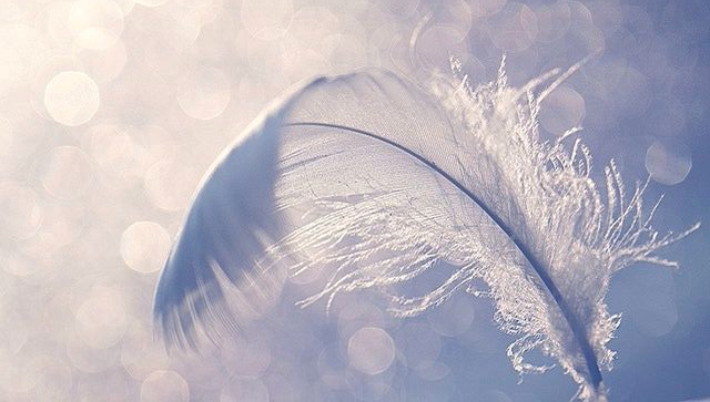 Легкость и чистота - то, чего мне так хочется ощутить сегодня!  // фото из общедоступных источников сети интернет