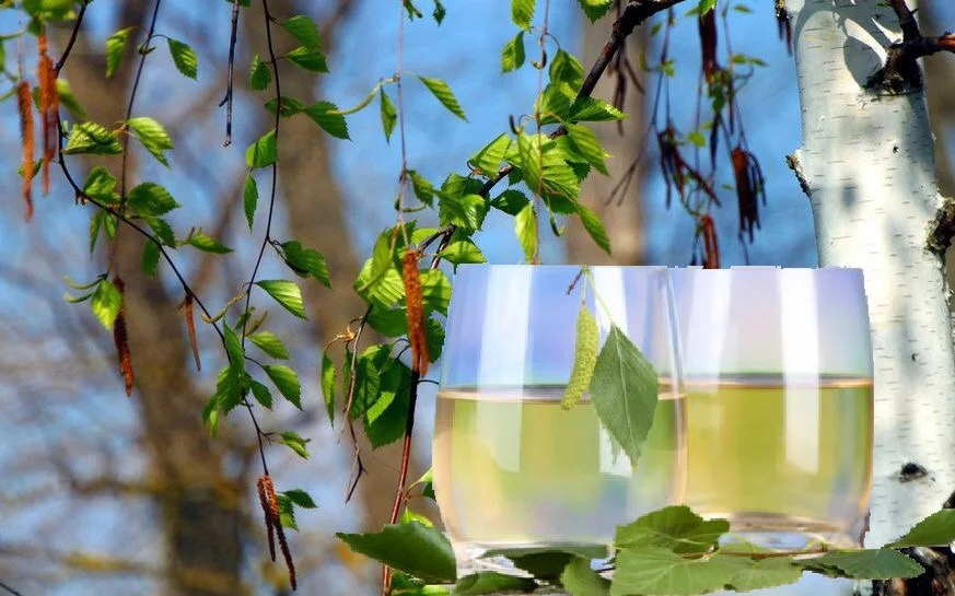 из свободного доступа в интернете