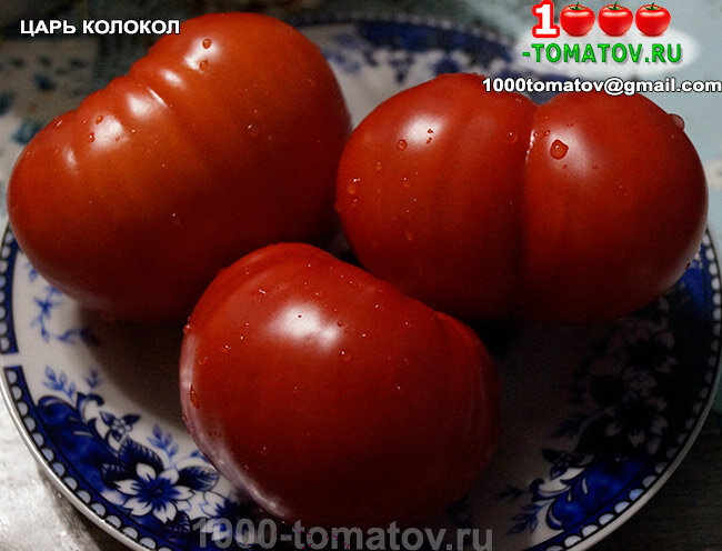 Томат Царь-колокол фото 1