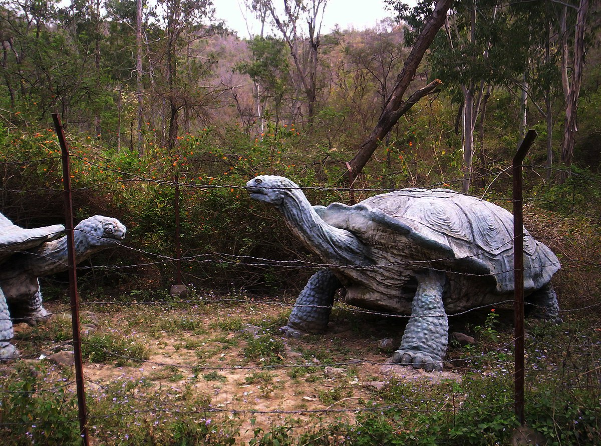 Вымерший пресмыкающиеся больших размеров. Черепаха колоссохелис. Megalochelys Atlas. Архелон гигантская черепаха. Гигантские черепахи вымершие.