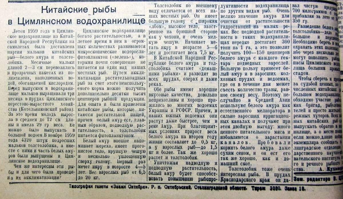 г
