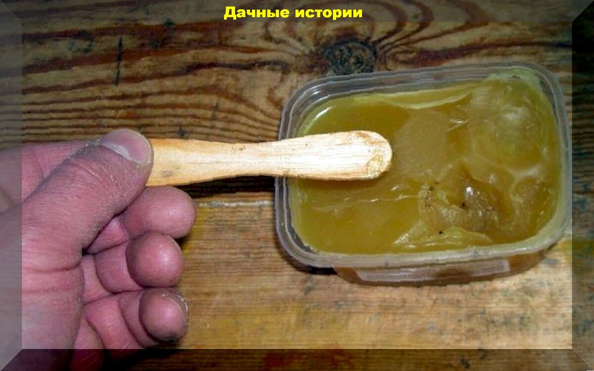 Чем заменить садовый вар в домашних условиях Садовый вар как приготовить, где применять и чем можно заменить Треска, Шарпей