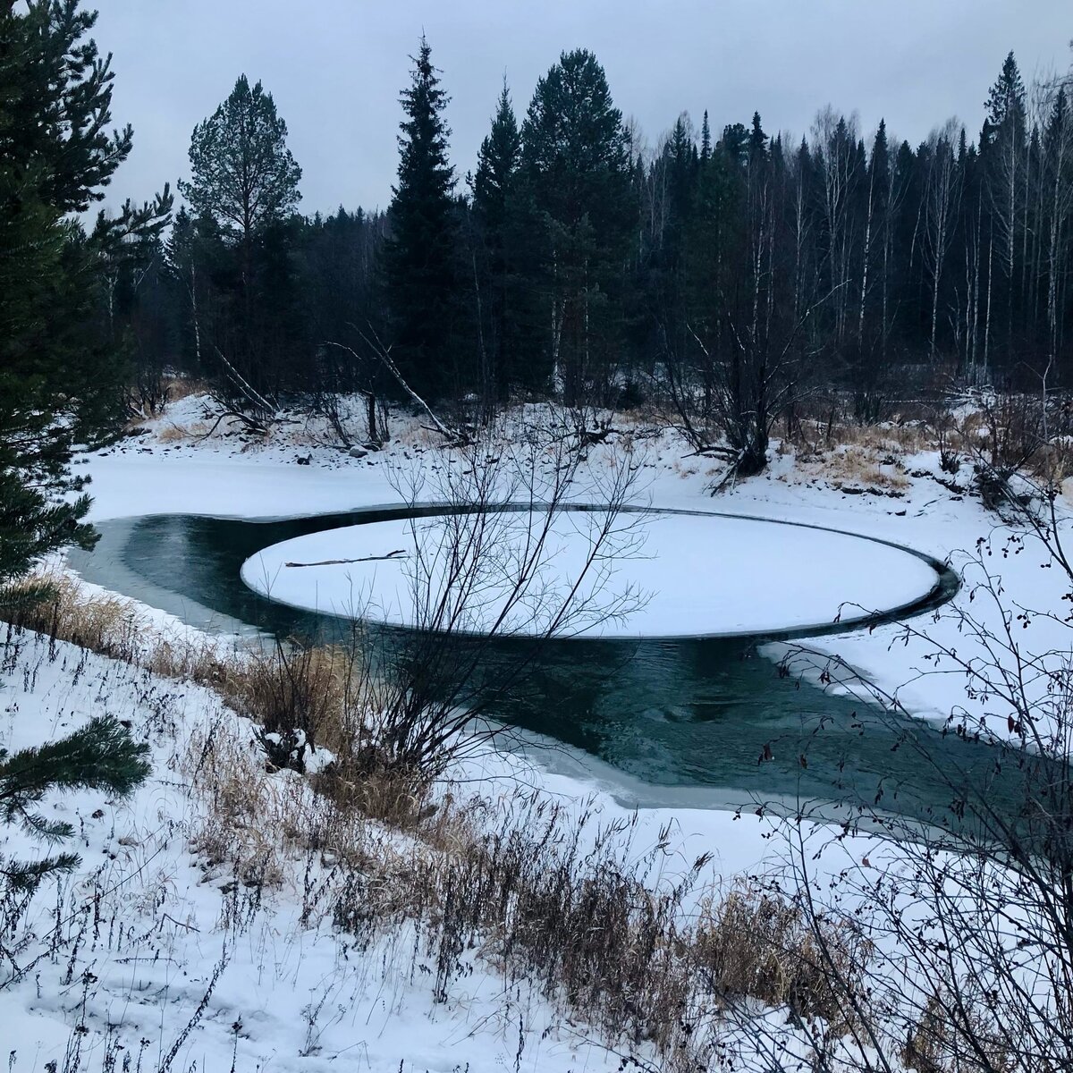  фото Евгений Чижевский