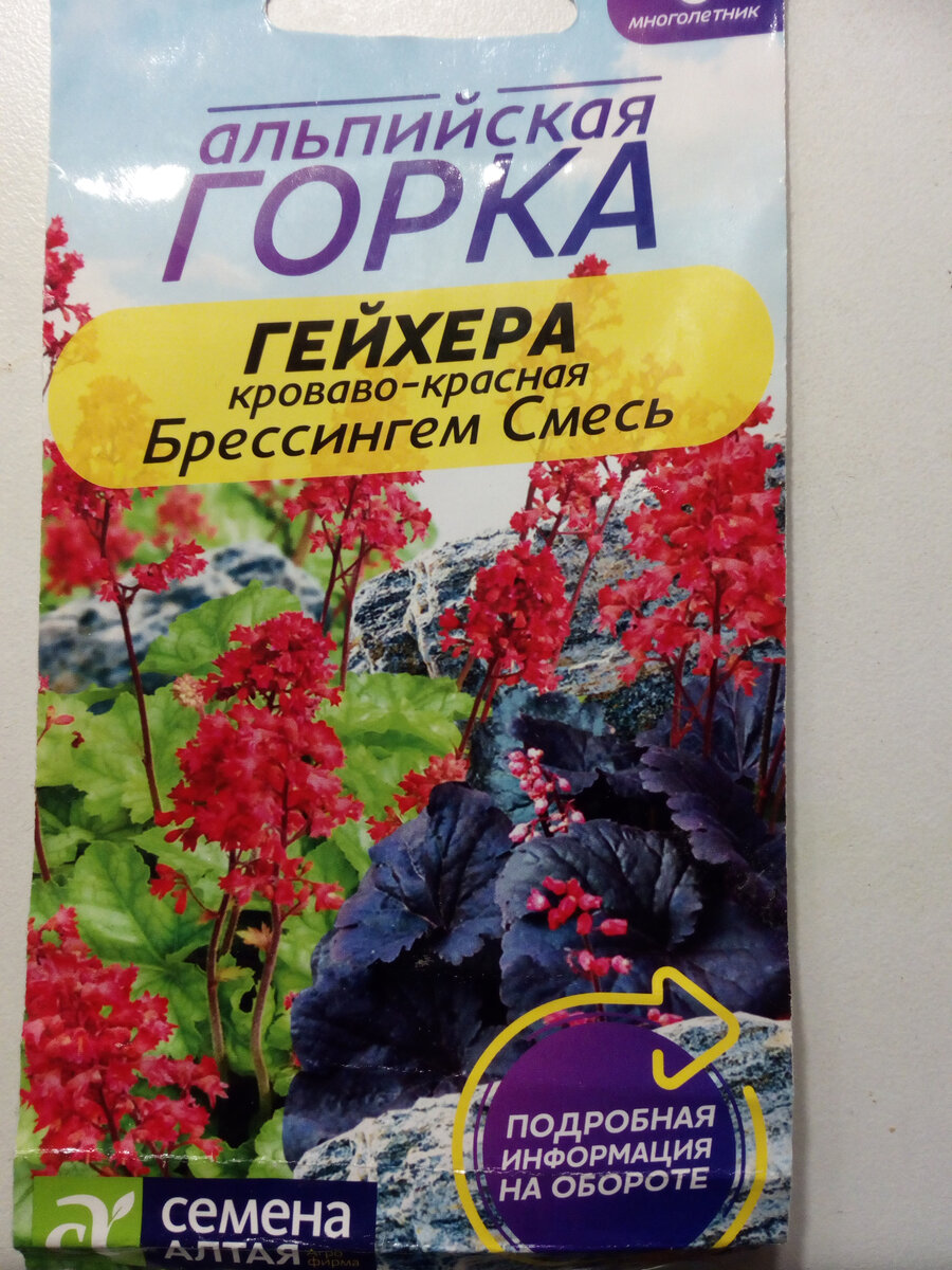 Купила единственный сорт красных geihera из всего, что могли предложить. Непонятно, что же будет. Даже окраска листьев на пакете не совсем понятна.